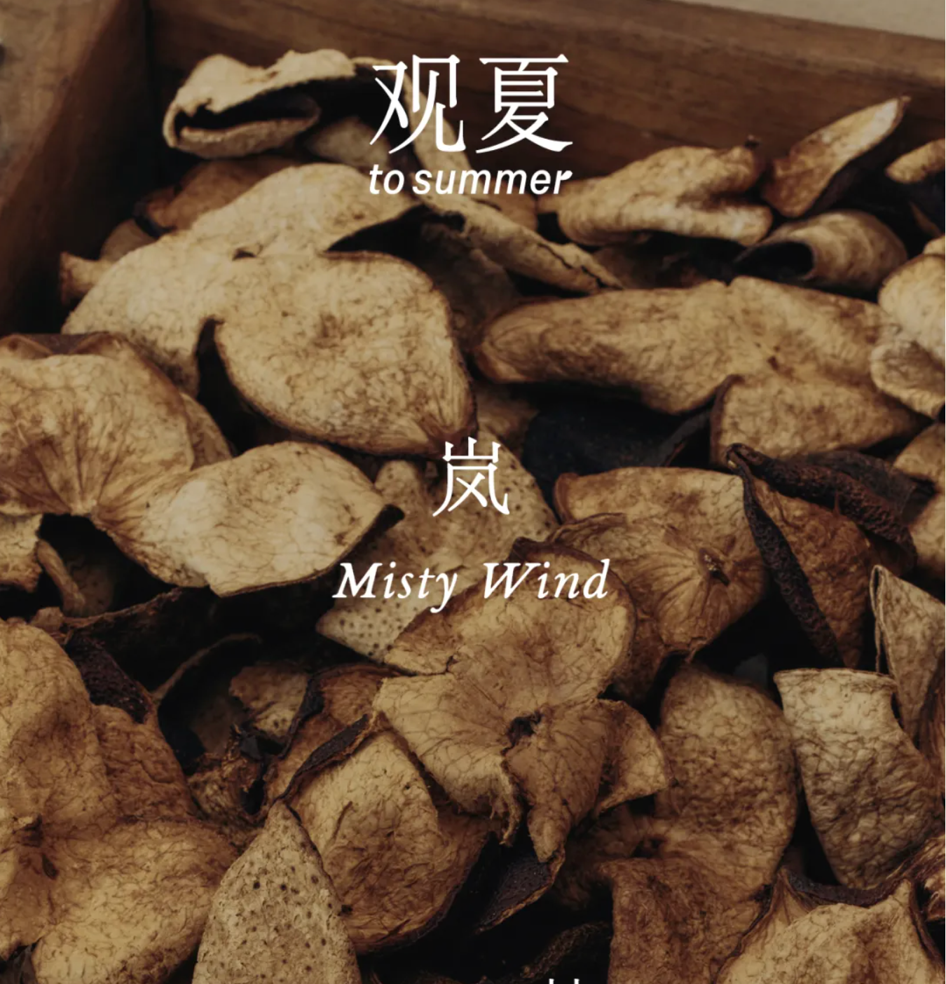 正文图片